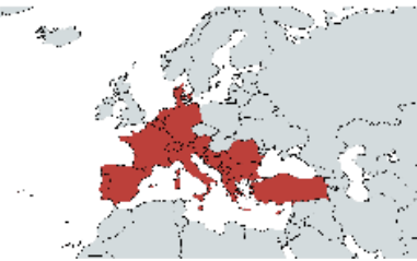 Western & Central Europe